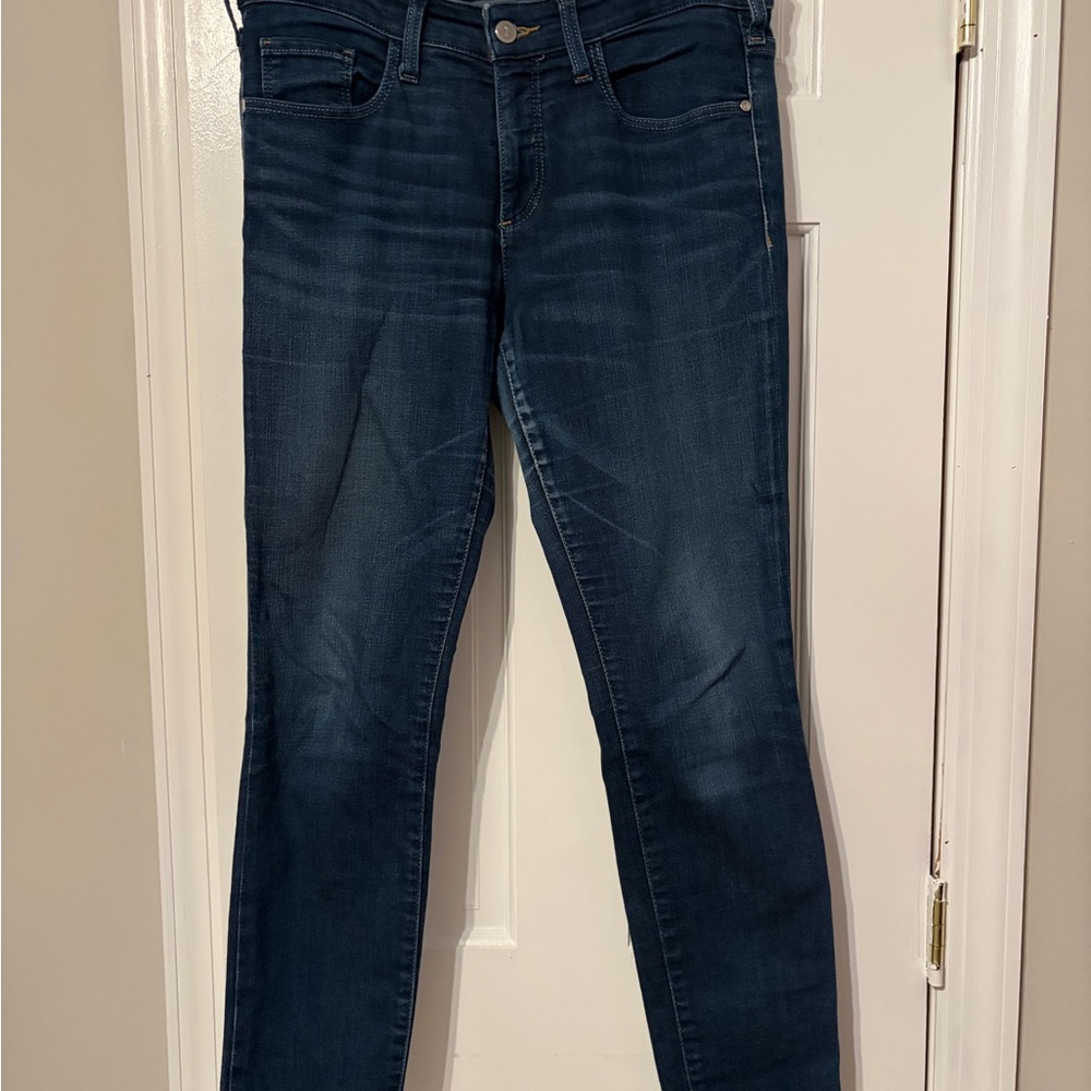 Anthropologie Pilcro Dark Wash Skinny